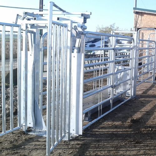 Станок для фиксации КРС для крупного рогатого скота - SORA16.6000 - AHI - FARM CAMARA - прочный / ветеринарный / для сортировки