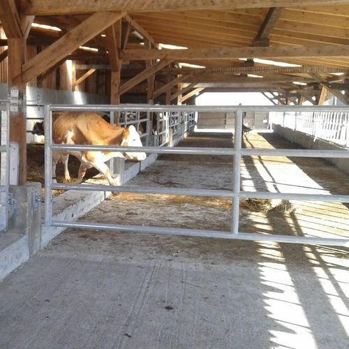 Барьер для домашнего скота - GATG412 - AHI - FARM CAMARA - для стойла / для коров / из металла