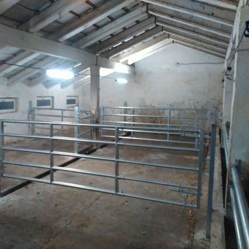 Барьер для домашнего скота - GATG424 - AHI - FARM CAMARA - для стойла / для коров / из металла
