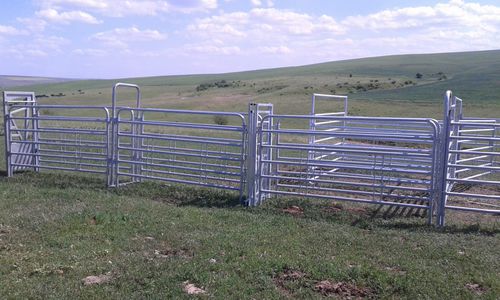 Станок для фиксации КРС для крупного рогатого скота - SORA16 9000 - AHI - FARM CAMARA - прочный / ветеринарный / для сортировки