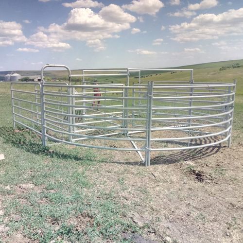 Станок для фиксации КРС для крупного рогатого скота - SORA633000 - AHI - FARM CAMARA - прочный / для сортировки