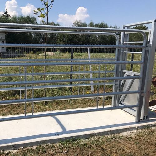 Станок для фиксации КРС для крупного рогатого скота - SORA65 - AHI - FARM CAMARA - прочный / для сортировки