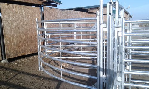 Станок для фиксации КРС для крупного рогатого скота - SORA652 - AHI - FARM CAMARA - прочный / для сортировки