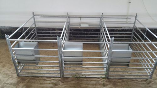 Клетка для рождения для овец - FENG8, 6 3000 - AHI - FARM CAMARA