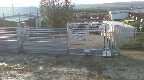Станок для фиксации КРС для крупного рогатого скота - SORA6413000 - AHI - FARM CAMARA - прочный / для сортировки