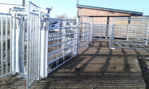 Станок для фиксации КРС для крупного рогатого скота - SORA179000 - AHI - FARM CAMARA - прочный / ветеринарный / для сортировки