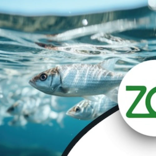Резервуар для воды - Zeofish - Green Zeolite Company