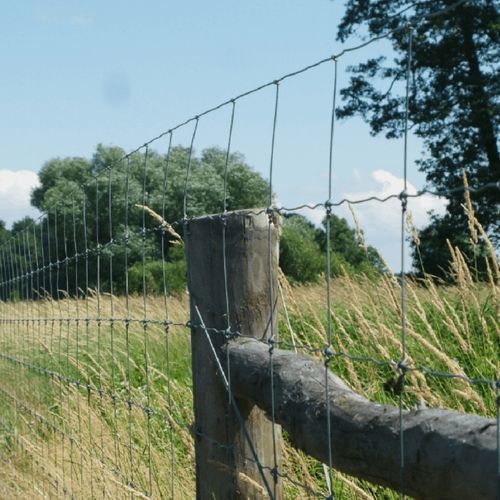 Колышек для ограждения - Z POST 260cm - Farmmesh - из металла / для виноградников / для фруктового сада