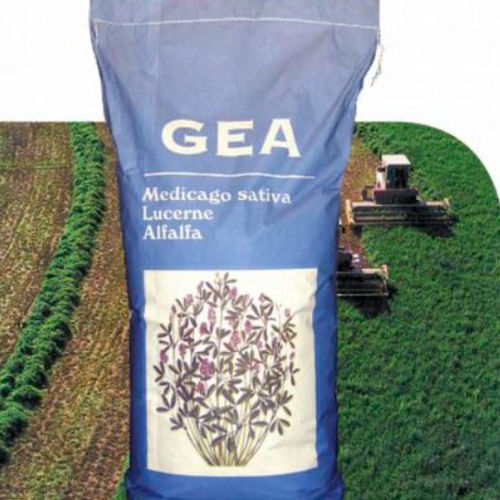Растительный покров люцерна - GEA - AGROMUNDO