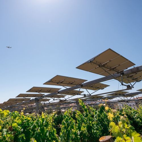 Агровольтаическая конструкция для культуры - Agrovoltaico® 3D/2D - REM TEC SRL