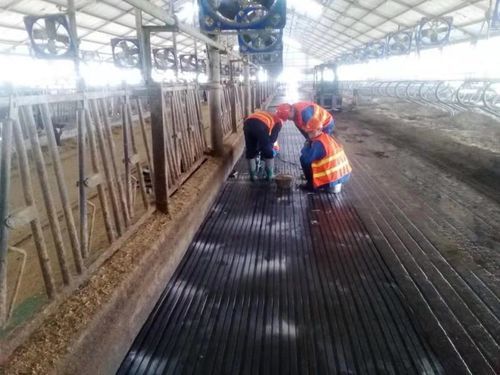 Коврик из каучука - Nanjing Bonzer Rubber & Plastic Co., Ltd. - для разведения КРС / противоскользящий / пазованный