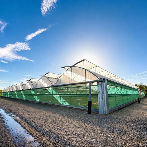 Теплица с несколькими сводами - EnviroPro - NP STRUCTURES - из ПВХ / с водосточным желобом / с боковой вентиляцией