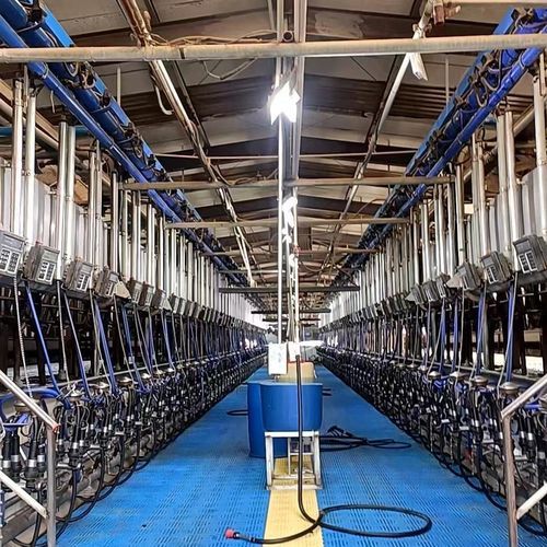 Параллельное помещение для дойки - NEMNP25 - NewEra Milking - для коров / «в елку» / быстрый выход