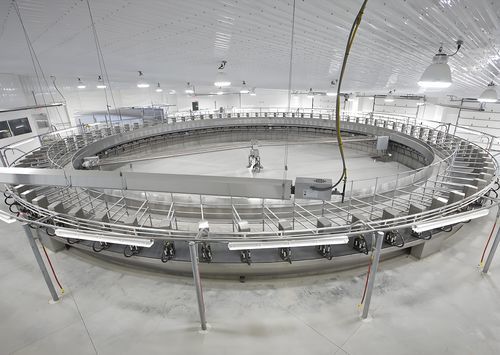 Поворотное помещение для дойки - NEMA4300 - NewEra Milking - для коров / автоматический контроль входа и выхода