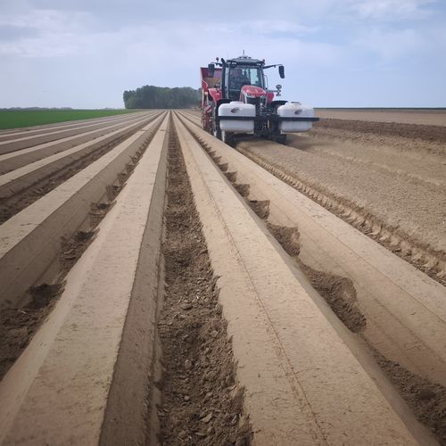 Система защиты от эрозии для картофелесажалки - ErofiX - GAM Agri Pièces - навесная
