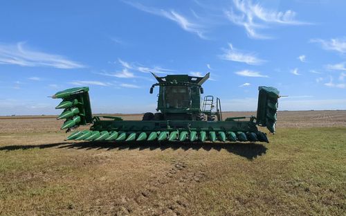 Головка для сбора урожая для кукурузы - Bish Enterprises - жесткая / с драпировщиком / складная