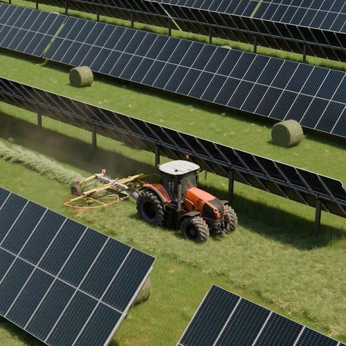 Агровольтаический навес для домашнего скота - TSE Energy - для культуры