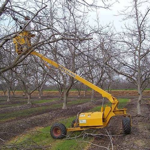 Рабочая платформа для подрезки - SA-500 - Afron Machinery Ltd. - для сбора урожая / самоходная / электрическая