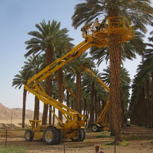 Рабочая платформа для сбора урожая - AF 20 - Afron Machinery Ltd. - самоходная