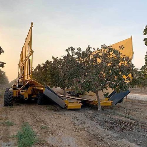 Вибратор для сбора урожая для орехов - Twin D T4 - Afron Machinery Ltd. - для миндаля / с дизельным двигателем / механический