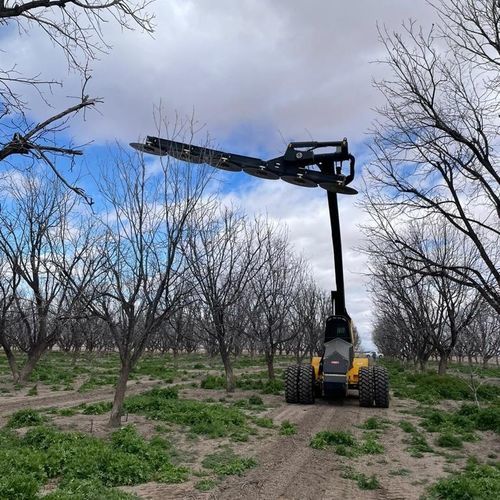 Машина для срезания веток для фруктового сада - TH-2000-F T4 - Afron Machinery Ltd. - для пекана / навесная / самоходная