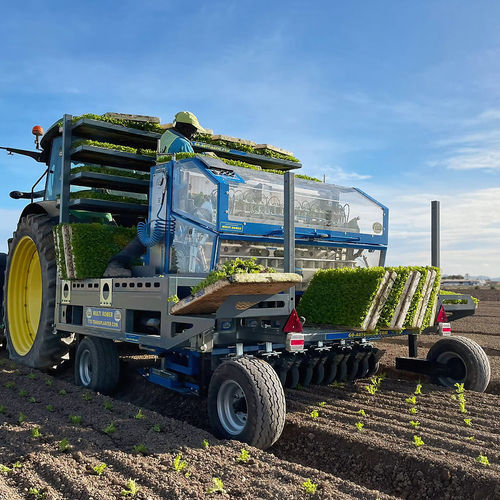 Посадочная машина для лука - TTS Tolenaars Transplanting Services - для салата / для овощей / цветы