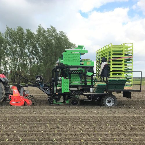 Посадочная машина для овощей - 4 SP - Agriplant NV - автоматическая / 4 ряда / буксируемая