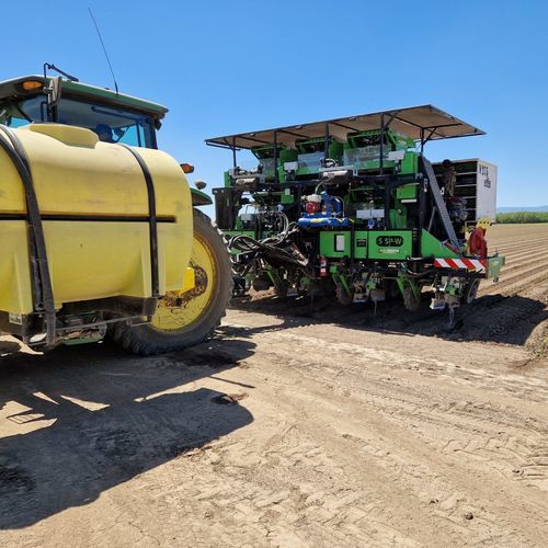 Посадочная машина для овощей - 5 SP-W - Agriplant NV - автоматическая / 5 рядов / буксируемая