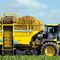 уборочная машина для свеклыTIGER 6SROPA Fahrzeug- und Maschinenbau GmbH