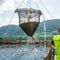 сеть для аквакультуры для разделения резервуара с водойBio SeizeM&oslash;renot Aquaculture AS