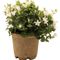 Jiffy Pot R3Jiffy Products International BV