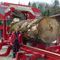 ленточная пилорамаAfrica XE 135 / XE 160serra-sawmills