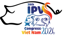 IPVS