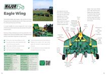 Eagle Wing