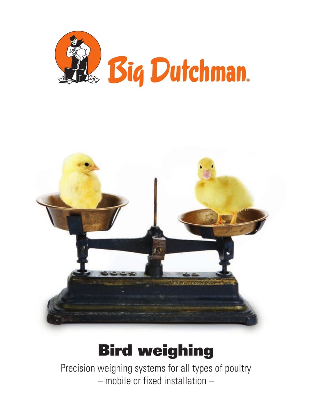 Bird weighing - Big Dutchman
