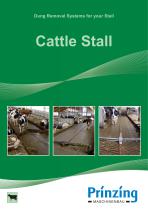 Cattle Stall