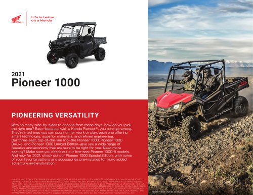 2021 PIONEER 1000