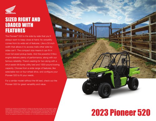 2023 PIONEER 520