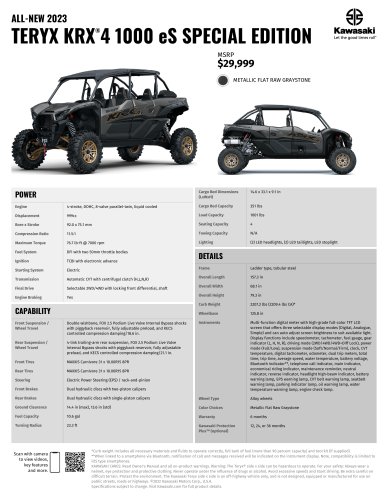 TERYX KRX® 4 1000 eS SPECIAL EDITION