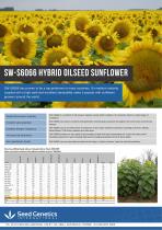 SW-s6066 hybrid oilseed sunflower