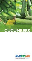 CUCUMBERS