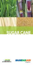SUGAR CANE