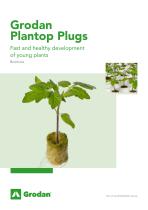 Grodan Plantop Plugs