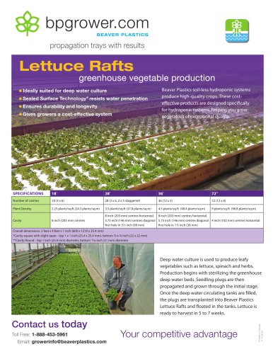 Lettuce Rafts