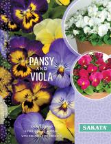 PANSY AND VIOLA