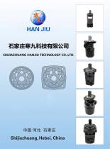 Hydraulic Motor