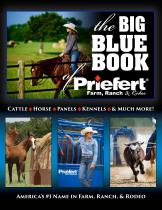 Big Blue Book