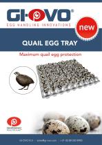 Quail Egg Tray Maximum quail egg protection