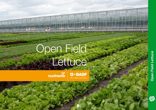 Open Field Lettuce brochure