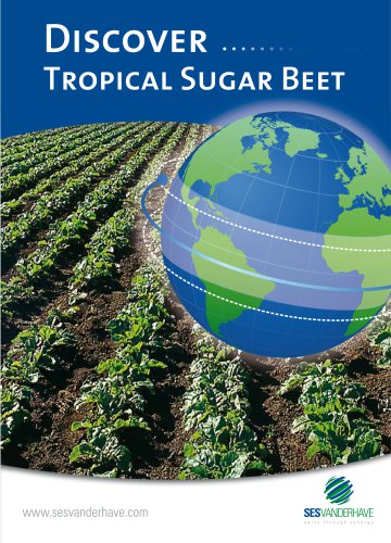 Tropical Sugar Beet
